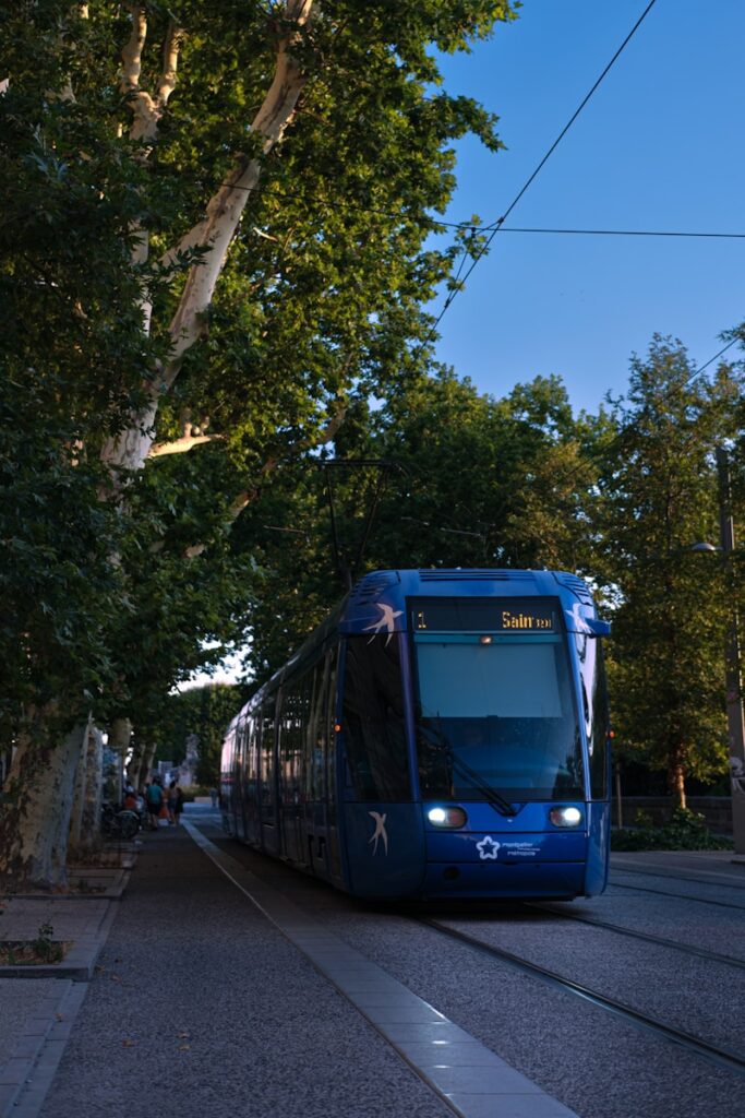 a blue train traveling down train tracks next to trees
